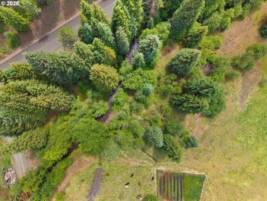 A rare legacy property on the Wallowa Mountain Loop Road, this - photo 47