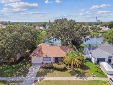 (private lake, pond, creek) Home Sale Pending in Holiday Florida