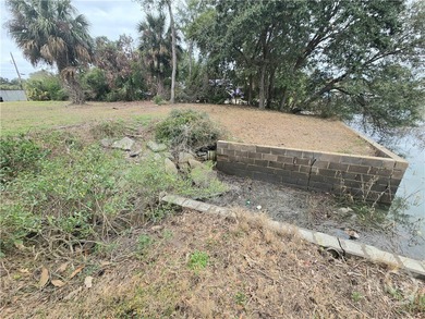 Cleared Tybee Island lot ready for your vision. Former mobile - photo 3