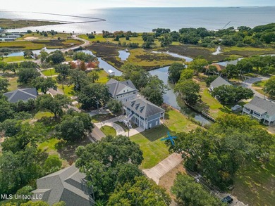 Picture a beautiful waterfront lot on a tranquil bayou, walking - photo 13
