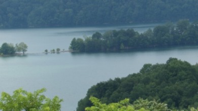 LARGE 2.21 AC LOT WITH LAKE & MTN VIEWS - photo 7
