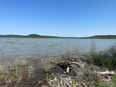This one acre lot is on Possum Kingdom Lake, next to the BRA - photo 20