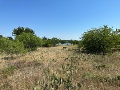 This one acre lot is on Possum Kingdom Lake, next to the BRA - photo 22