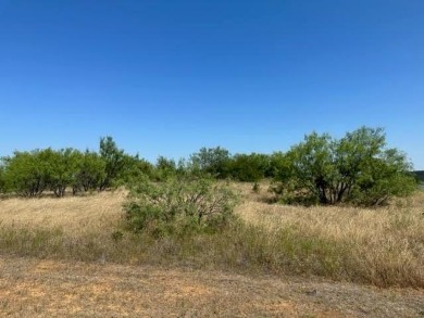 This one acre lot is on Possum Kingdom Lake, next to the BRA - photo 25
