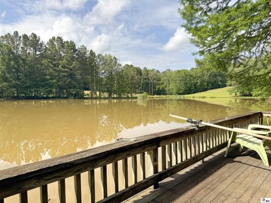 The James Place is one of the most unique properties in North - photo 29