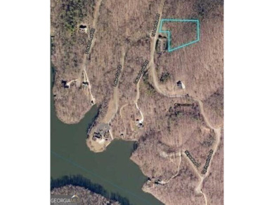 Lake Acreage For Sale in Cleveland, Georgia