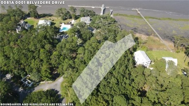 South Newport River - McIntosh County Lot For Sale in Townsend Georgia