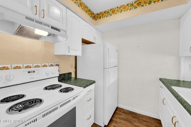 Discover the perfect blend of comfort, style, and resort living - photo 10