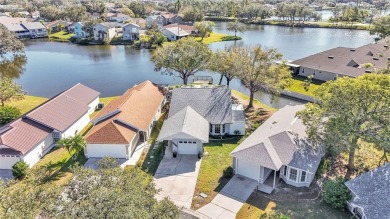 Lake Home Sale Pending in Lakeland, Florida