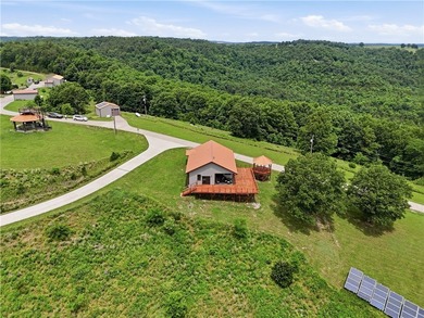 Expansive Ozark views define this custom 1,500sq residence on 9 - photo 5