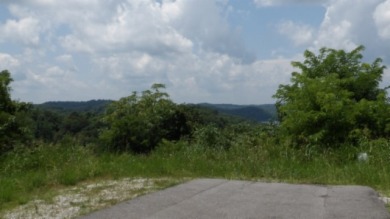LARGE 2.21 AC LOT WITH LAKE & MTN VIEWS - photo 9