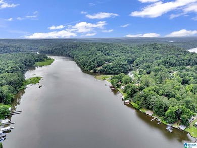 Welcome to your own slice of waterfront paradise on the Warrior - photo 42