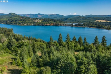 Foster Lake Acreage For Sale in Foster Oregon
