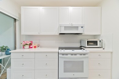 FABULOUS LOCATION IN THE SOUGHT-AFTER 55+ VILLAGES OF ORIOLE - photo 6