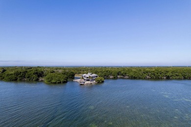 Discover unparalleled privacy and tranquility in this - photo 50
