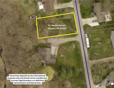 (private lake, pond, creek) Lot For Sale in Allegan Michigan