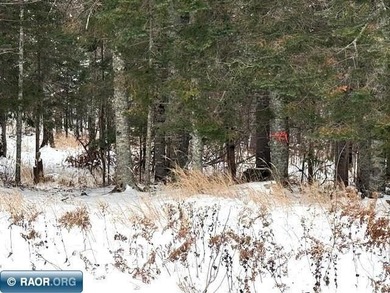 Lake Acreage For Sale in Cotton, Minnesota