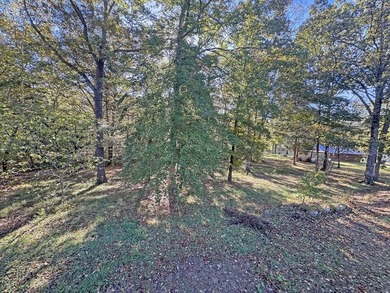 All-Brick Home Offering 3BR/4BA, perfectly situated on 2.59 - photo 26