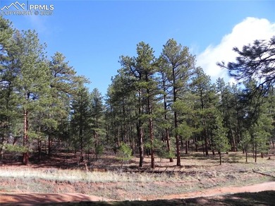 Waucondah Reservoir Lot For Sale in Larkspur Colorado