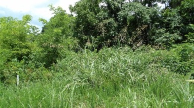 LARGE 2.21 AC LOT WITH LAKE & MTN VIEWS - photo 2