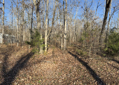 Lake Cumberland Camper/RV Lot - photo 2