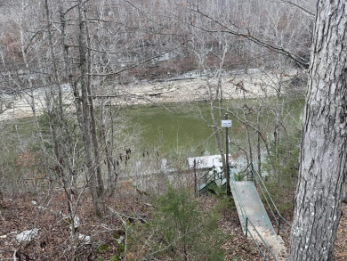 Lake Cumberland Camper/RV Lot - photo 5
