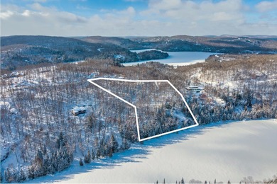 (private lake, pond, creek) Lot For Sale in Mont-Tremblant QC