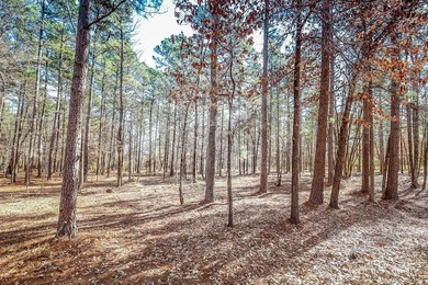 ABSOLUTELY BEAUTIFUL 16.5 ACRES JUST OUTSIDE THE CITY LIMITS OF - photo 11