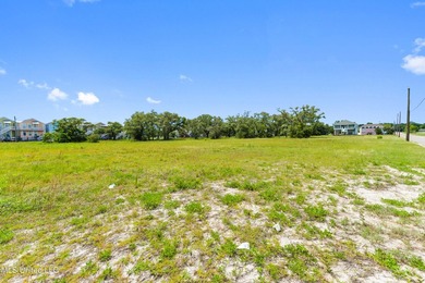 Unlock the potential of 3.9 acres of prime commercial land in - photo 11