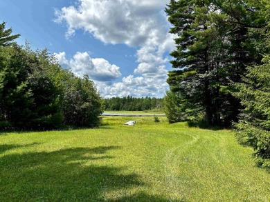 Thunder Lake Lot For Sale in Cooks Michigan
