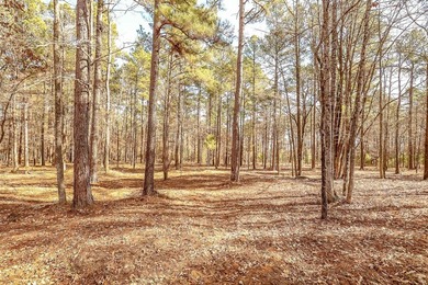 ABSOLUTELY BEAUTIFUL 16.5 ACRES JUST OUTSIDE THE CITY LIMITS OF - photo 12