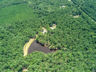 ABSOLUTELY BEAUTIFUL 16.5 ACRES JUST OUTSIDE THE CITY LIMITS OF - photo 13
