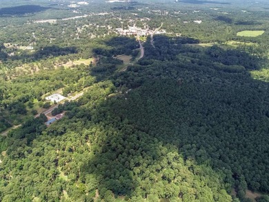 ABSOLUTELY BEAUTIFUL 16.5 ACRES JUST OUTSIDE THE CITY LIMITS OF - photo 14