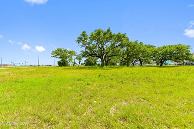 Unlock the potential of 3.9 acres of prime commercial land in - photo 14