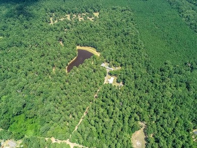 ABSOLUTELY BEAUTIFUL 16.5 ACRES JUST OUTSIDE THE CITY LIMITS OF - photo 15