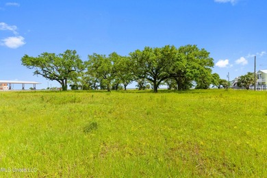 Unlock the potential of 3.9 acres of prime commercial land in - photo 15