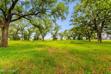 Unlock the potential of 3.9 acres of prime commercial land in - photo 16