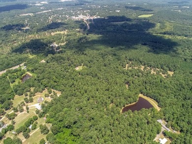 ABSOLUTELY BEAUTIFUL 16.5 ACRES JUST OUTSIDE THE CITY LIMITS OF - photo 17