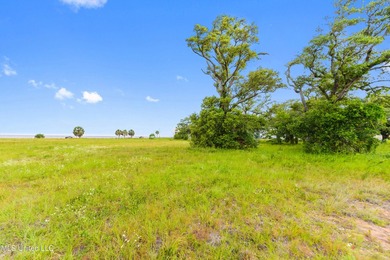Unlock the potential of 3.9 acres of prime commercial land in - photo 17