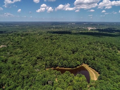 ABSOLUTELY BEAUTIFUL 16.5 ACRES JUST OUTSIDE THE CITY LIMITS OF - photo 18