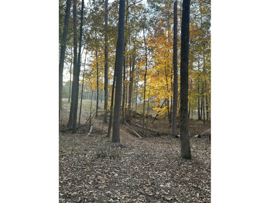 Strom Thurmond / Clarks Hill Lake Acreage For Sale in Lincolnton Georgia