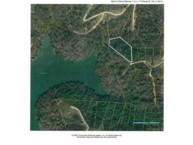 LARGE 2.21 AC LOT WITH LAKE & MTN VIEWS - photo 13