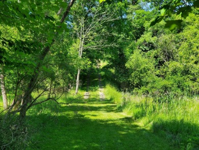 One of the very last White Lake buildable Lots available! This - photo 4