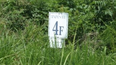 LARGE 2.21 AC LOT WITH LAKE & MTN VIEWS - photo 4