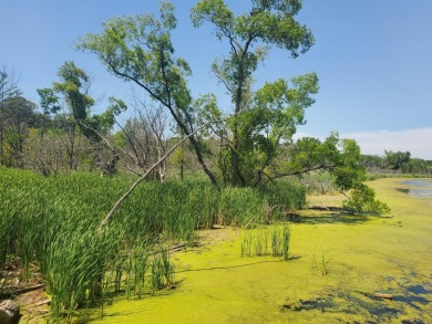 One of the very last White Lake buildable Lots available! This - photo 6