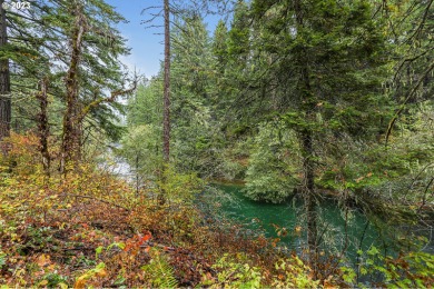 White Salmon River - Klickitat County Lot For Sale in Whitesalmon Washington