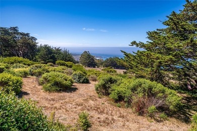 18844 Cabrillo Hwy - photo 12