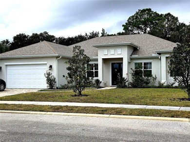 Emerald Lake Home For Sale in Palm Coast Florida