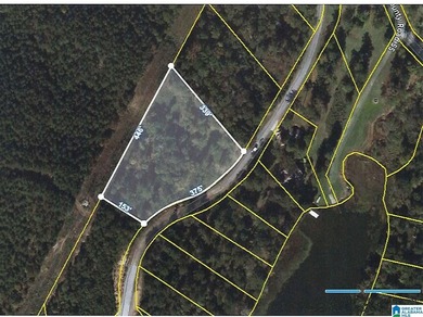 Enjoy this very quiet, peaceful, gated Lay Lake community with - photo 1