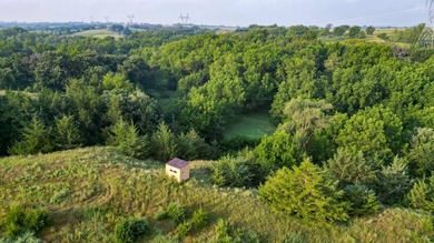 (private lake, pond, creek) Lot For Sale in Monowi Nebraska